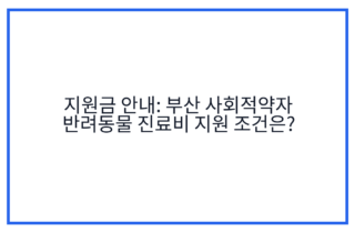 지원금 안내: 부산 사회적약자 반려동물 진료비 지원 조건은?