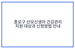 종로구 산모신생아 건강관리 지원 대상과 신청방법 안내