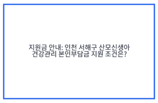 지원금 안내: 인천 서해구 산모신생아 건강관리 본인부담금 지원 조건은?