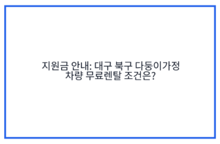 지원금 안내: 대구 북구 다둥이가정 차량 무료렌탈 조건은?