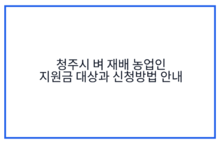청주시 벼 재배 농업인 지원금 대상과 신청방법 안내
