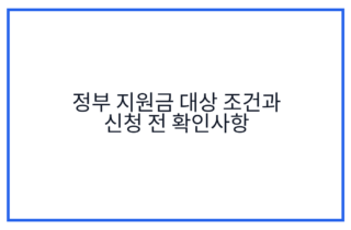 정부 지원금 대상 조건과 신청 전 확인사항