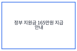 정부 지원금 165만원 지급 안내