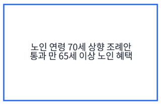노인 연령 70세 상향 조례안 통과 만 65세 이상 노인 혜택