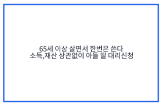 65세 이상 살면서 한번은 쓴다 소득,재산 상관없이 아들 딸 대리신청