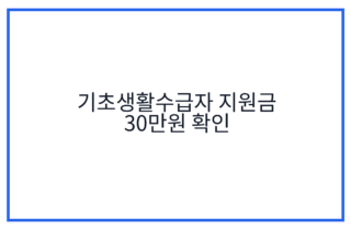 기초생활수급자 지원금 30만원 확인