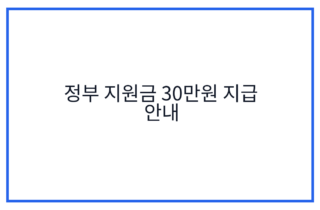 정부 지원금 30만원 지급 안내