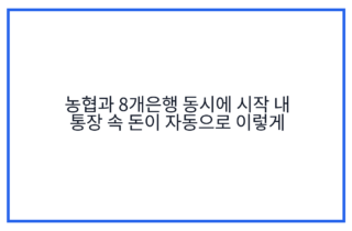 농협과 8개은행 동시에 시작 내 통장 속 돈이 자동으로 이렇게