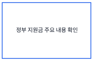 정부 지원금 주요 내용 확인