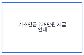 기초연금 228만원 지급 안내