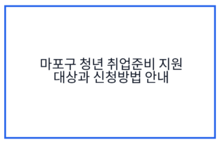 마포구 청년 취업준비 지원 대상과 신청방법 안내
