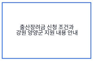 출산장려금 신청 조건과 강원 양양군 지원 내용 안내