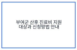 부여군 산후 진료비 지원 대상과 신청방법 안내
