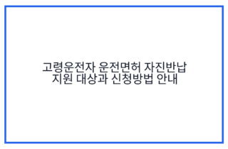 고령운전자 운전면허 자진반납 지원 대상과 신청방법 안내